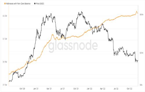 比特币百万富翁钱包在BTC价格熊市之年下跌80%