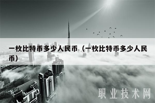 一枚比特币多少人民币（一枚比特币多少人民币）