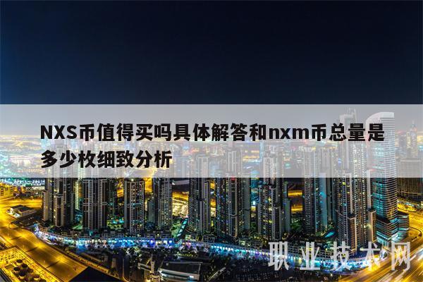 NXS币值得买吗具体解答和nxm币总量是多少枚细致分析