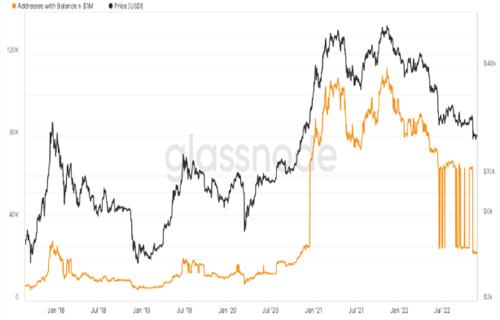 比特币百万富翁钱包在BTC价格熊市之年下跌80%