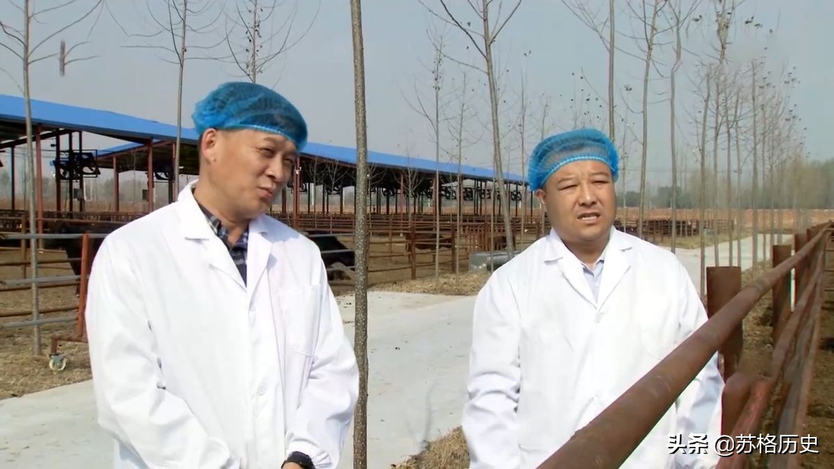 玉米压片的价格（买小型玉米压片设备多少钱）