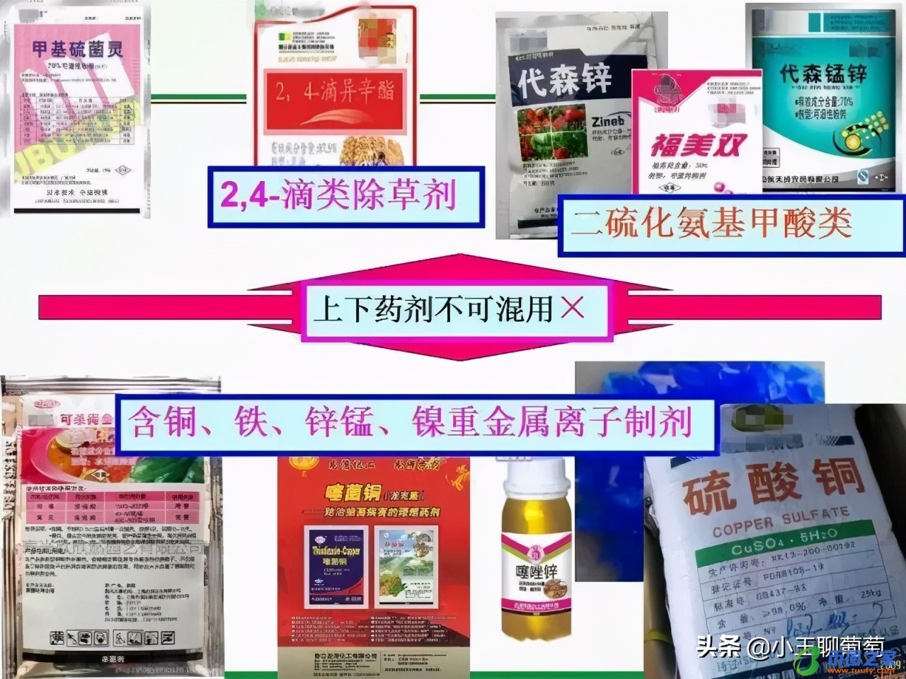 联苯菊酯使用禁忌（联苯菊酯的缺点）