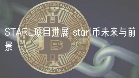 STARL项目进展 starl币未来与前景