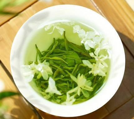 茉莉花适合在室内养吗（茉莉花在家怎样养）