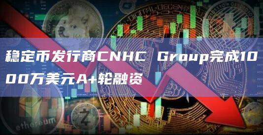 稳定币发行商CNHC Group完成1000万美元A+轮融资