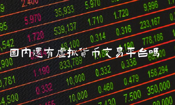 国内还有虚拟货币交易平台吗