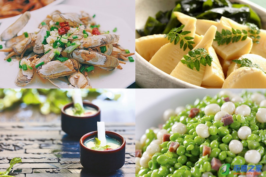 品尝用英语怎么说(品尝用英语怎么说either)