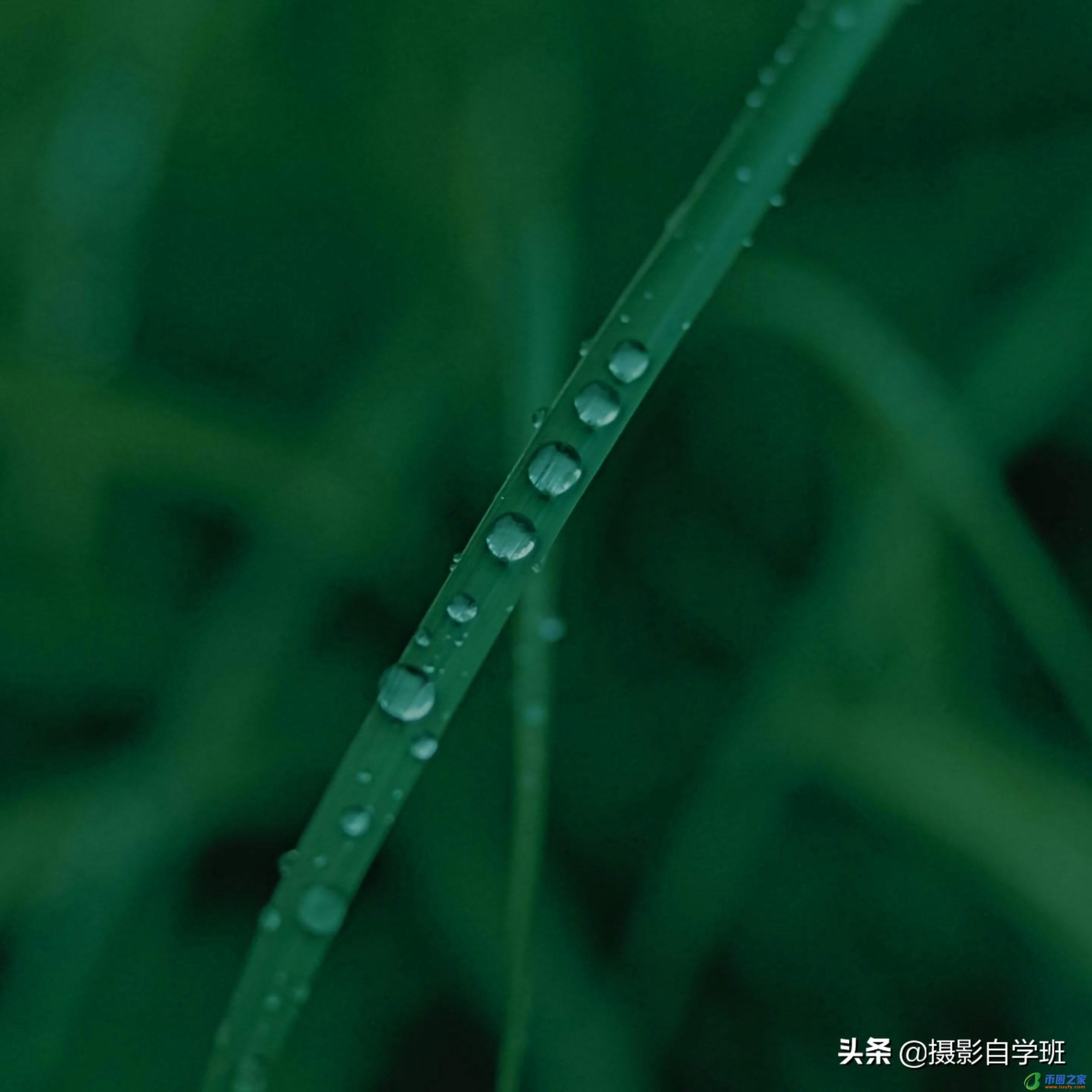 手机下划线怎么打（手机下划线怎么打字加上去）