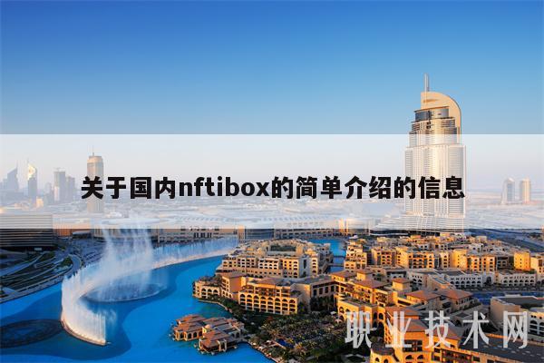 关于国内nftibox的简单介绍的信息插图 关于国内nftibox的简单介绍的信息