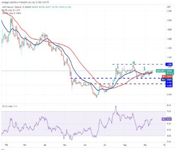 价格分析:BTC、ETH、BNB、XRP、ADA、SOL、DOGE、DOT、MATIC、SHIB插图9 价格分析:BTC、ETH、BNB、XRP、ADA、SOL、DOGE、DOT、MATIC、SHIB
