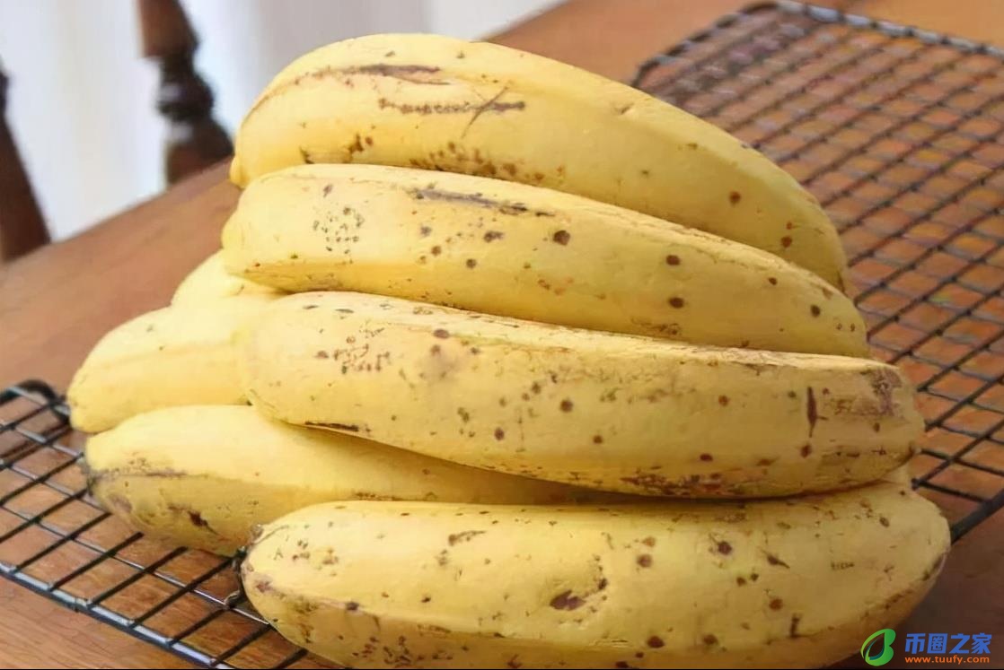 香蕉什么时候成熟（荔枝什么时候成熟）