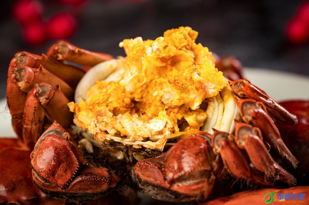 猪天堂指什么东西（猪天堂图片大全）