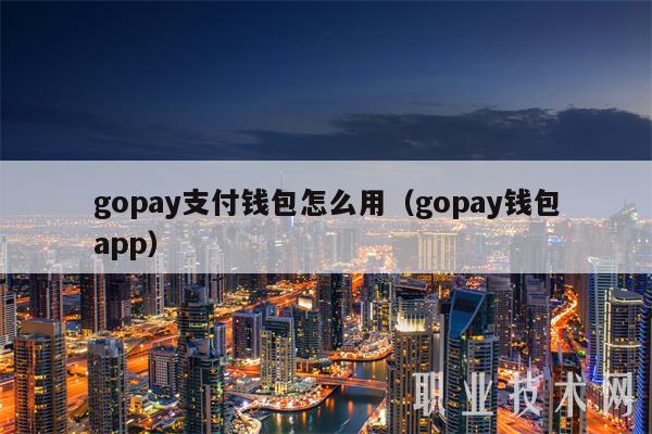 gopay支付钱包怎么用(gopay钱包app)插图 gopay支付钱包怎么用(gopay钱包app)