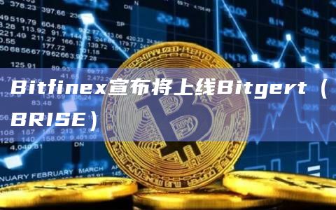 Bitfinex宣布将上线Bitgert（BRISE）