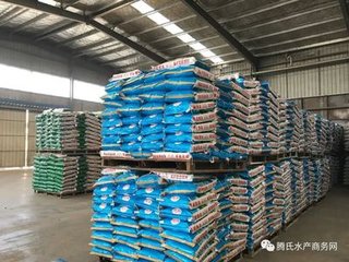 小龙虾喜欢吃什么（哪种龙虾最好吃）