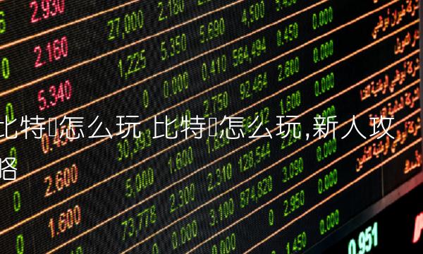 比特币怎么玩,新人攻略