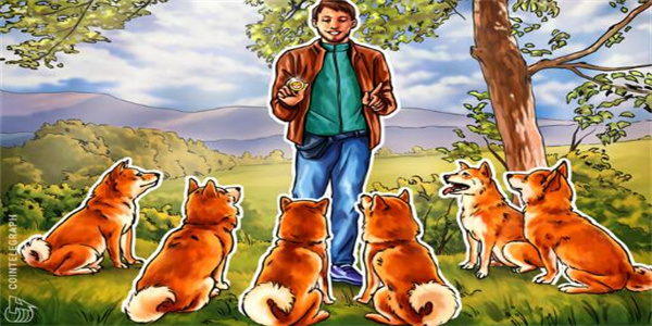 Shiba Inu是个什么币 Shiba Inu是主流币吗？