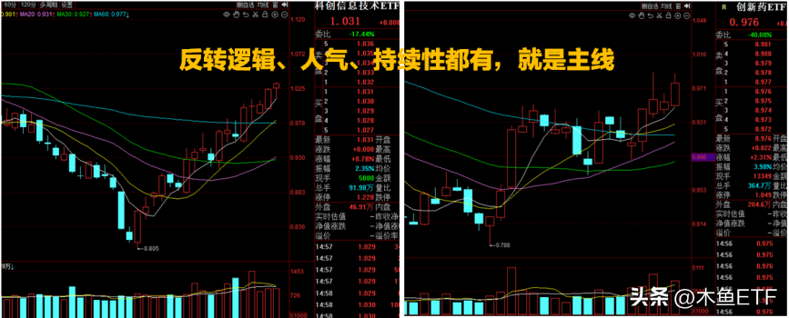基金选择的五种方法（选择基金的技巧）