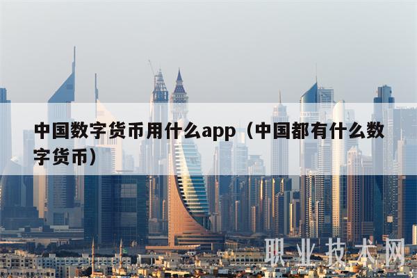 中国数字货币用什么app(中国都有什么数字货币)