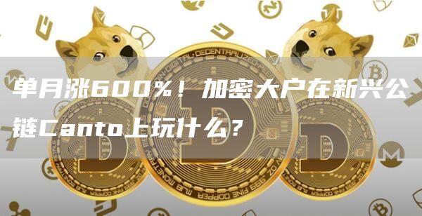 单月涨600%！加密大户在新兴公链Canto上玩什么？