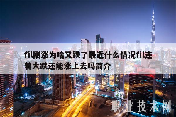 fil刚涨为啥又跌了最近什么情况fil连着大跌还能涨上去吗简介
