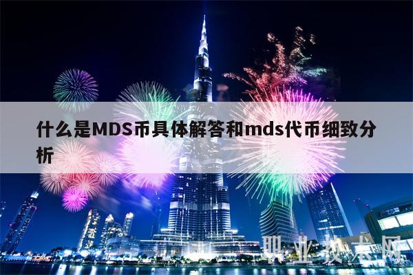 什么是MDS币具体解答和mds代币细致分析