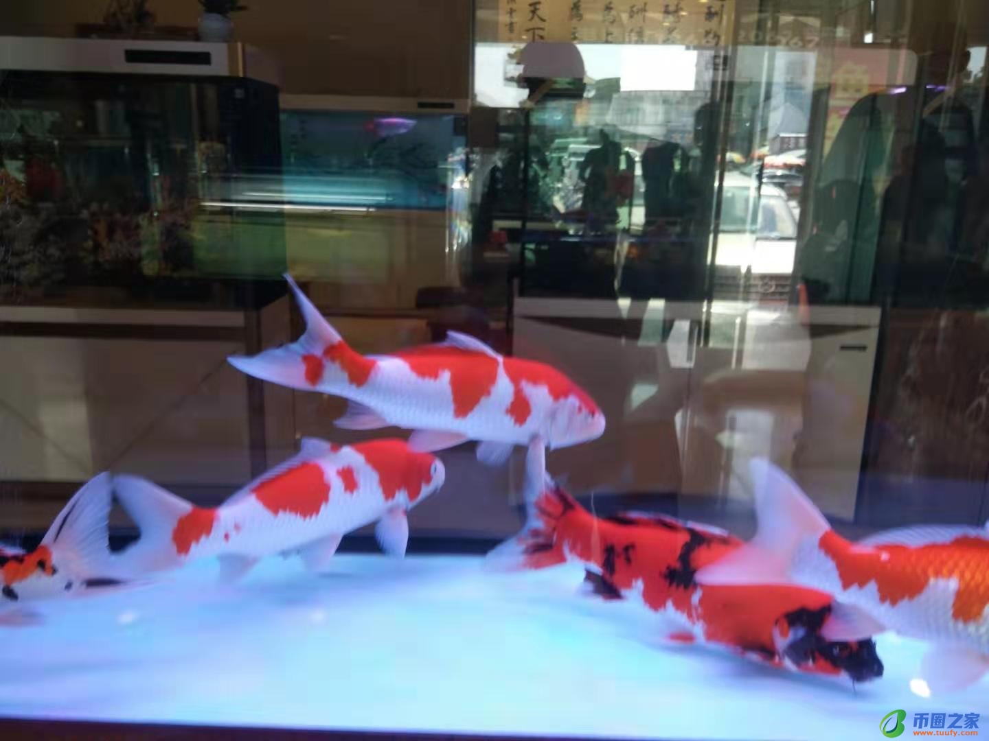 色母片是什么东西（色母片是什么东西代替品）