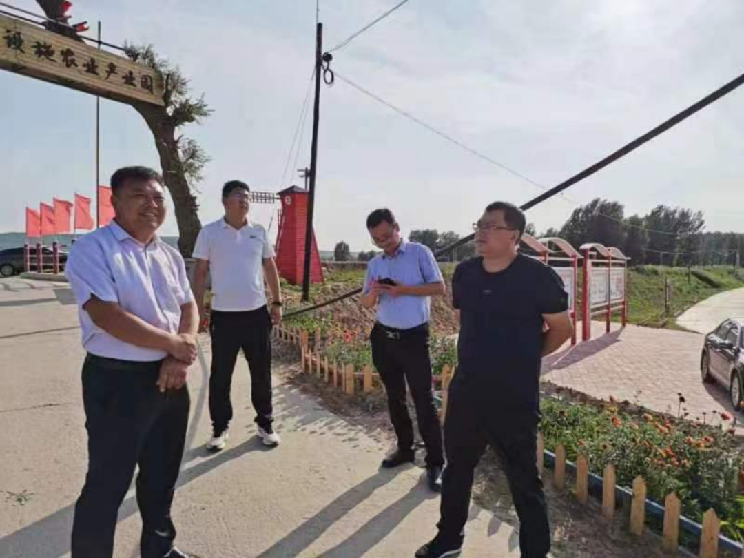 玉米压片厂值得投资吗（玉米压片挣钱吗）5