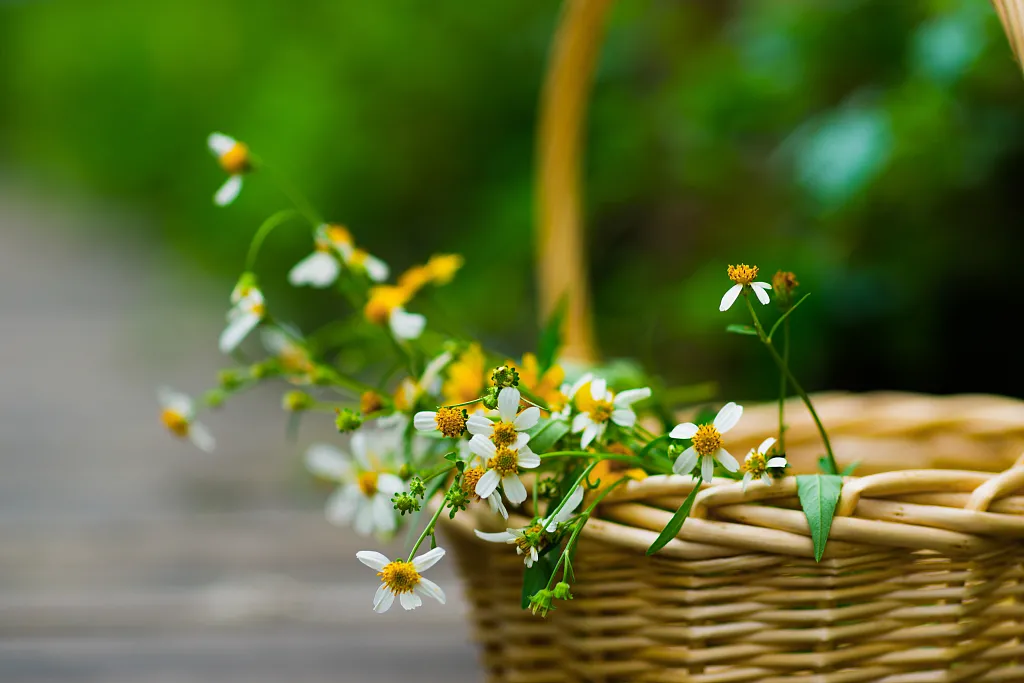 虽则如云匪我思存（虽则如云匪我思存诗经）