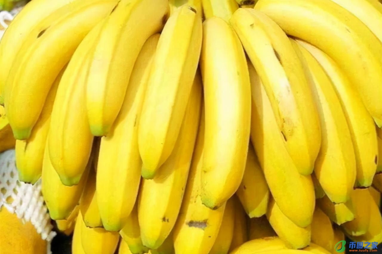 香蕉什么时候成熟（荔枝什么时候成熟）