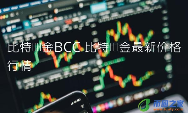 比特币现金最新价格行情