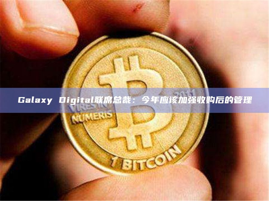 Galaxy Digital联席总裁：今年应该加强收购后的管理