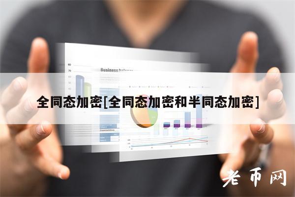 全同态加密[全同态加密和半同态加密]