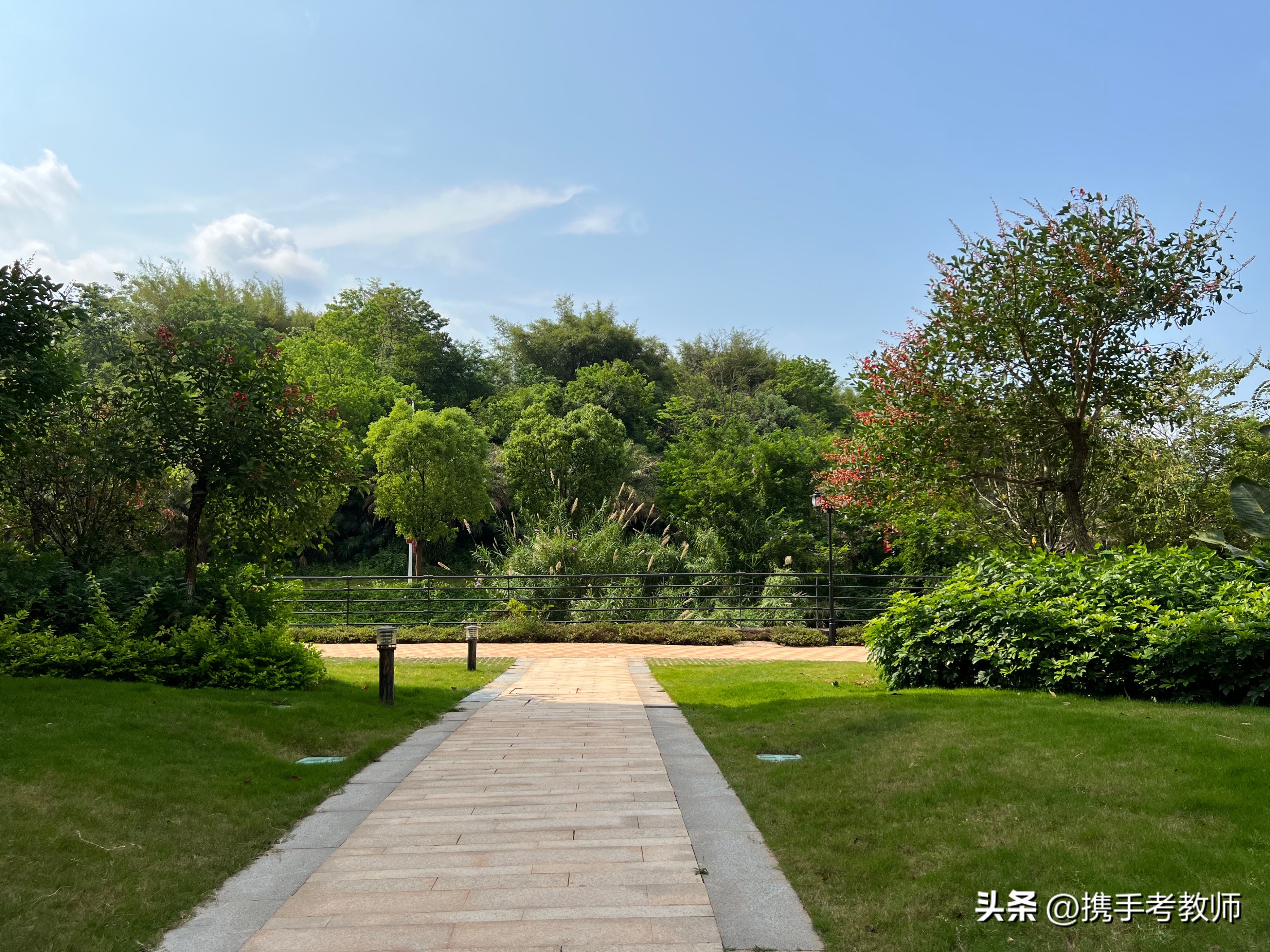 糊的拼音和组词语（糊,的拼音和组词）