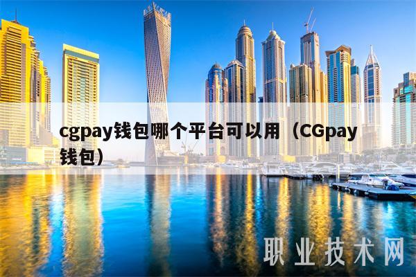cgpay钱包哪个平台可以用（CGpay钱包）