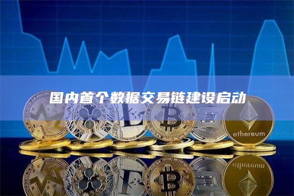 国内首个数据交易链建设启动