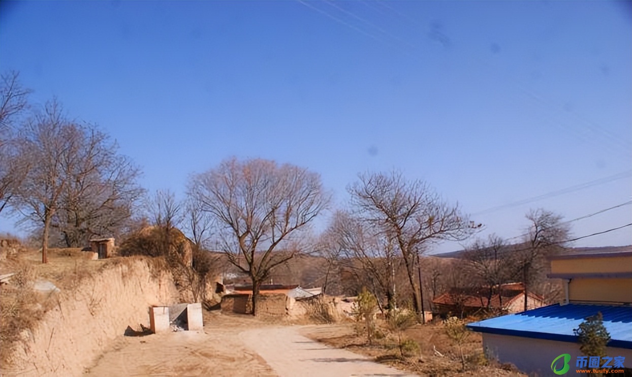 家里可以种桃树吗(家里可以种桃树吗风水)