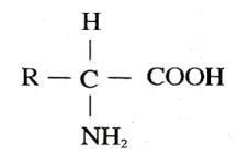 蛋白质的颜色反应（蛋白质的颜色反应名词解释）
