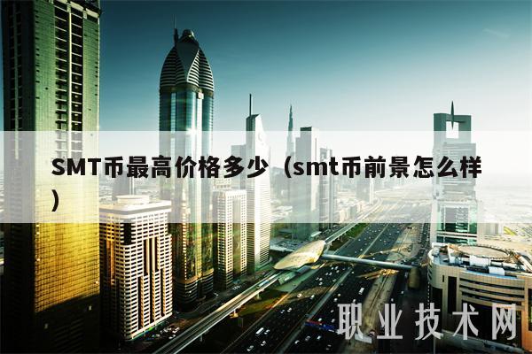 SMT币最高价格多少（smt币前景怎么样）