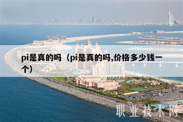 pi是真的吗（pi是真的吗,价格多少钱一个）