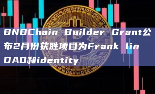 BNBChain Builder Grant公布2月份获胜项目为Frank lin DAO和identity