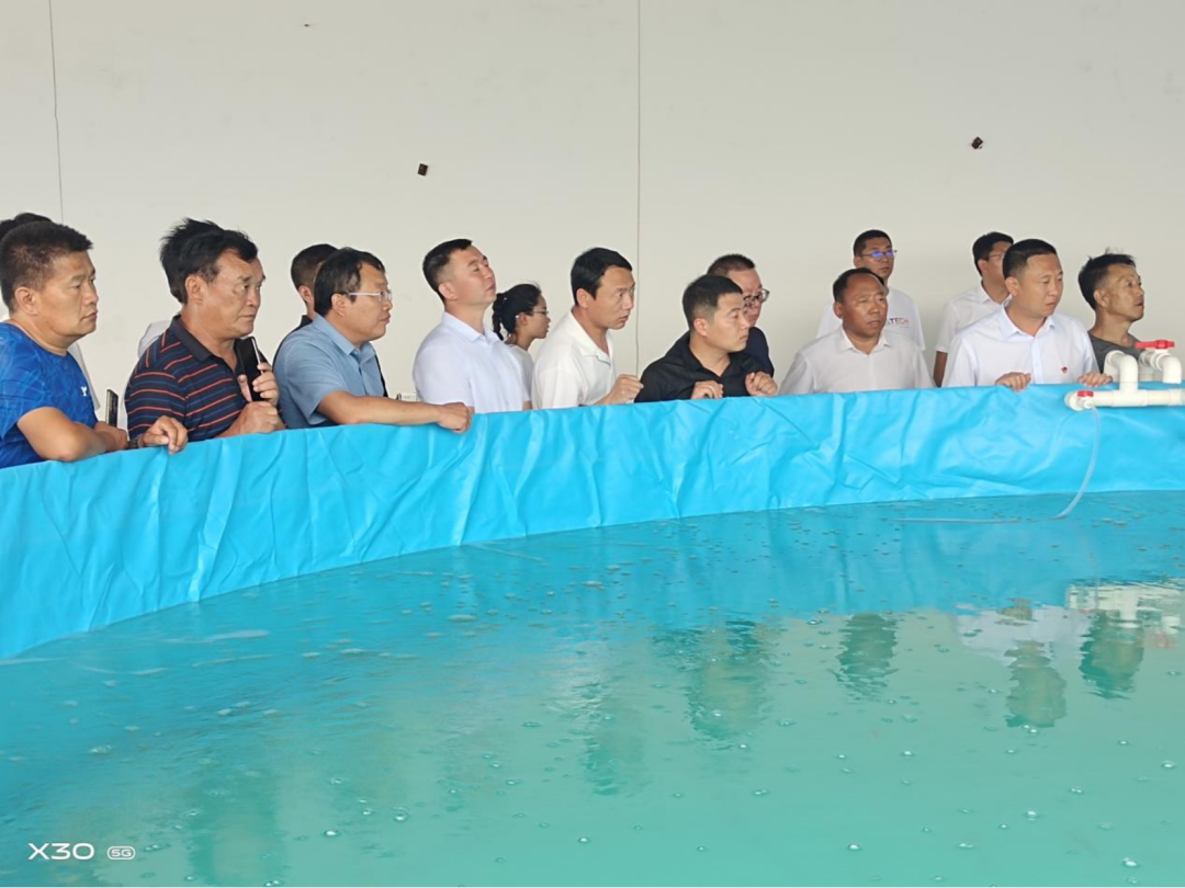 玉米压片厂值得投资吗（玉米压片挣钱吗）11