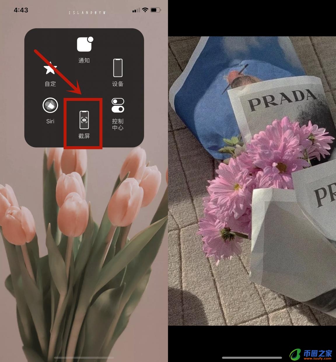 苹果8p怎么截屏（苹果8怎么截屏快捷键）