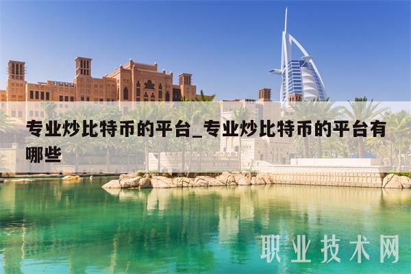 专业炒比特币的平台_专业炒比特币的平台有哪些