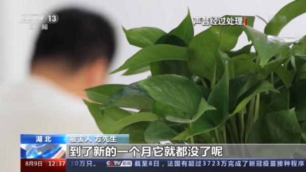 稳赚导师免费赚钱微信号(加赚钱导师微信号)1 稳赚导师免费赚钱微信号(加赚钱导师微信号)1