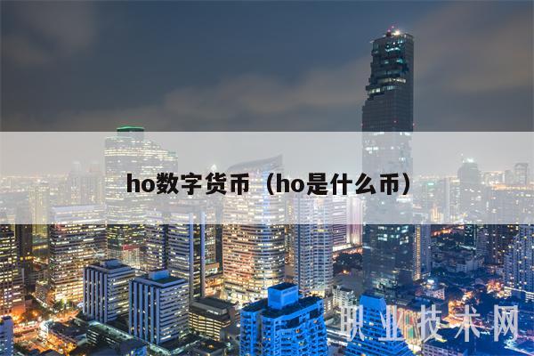 ho数字货币（ho是什么币）