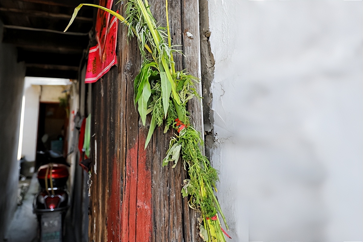 为什么叫端午安康（为啥叫端午安康）7