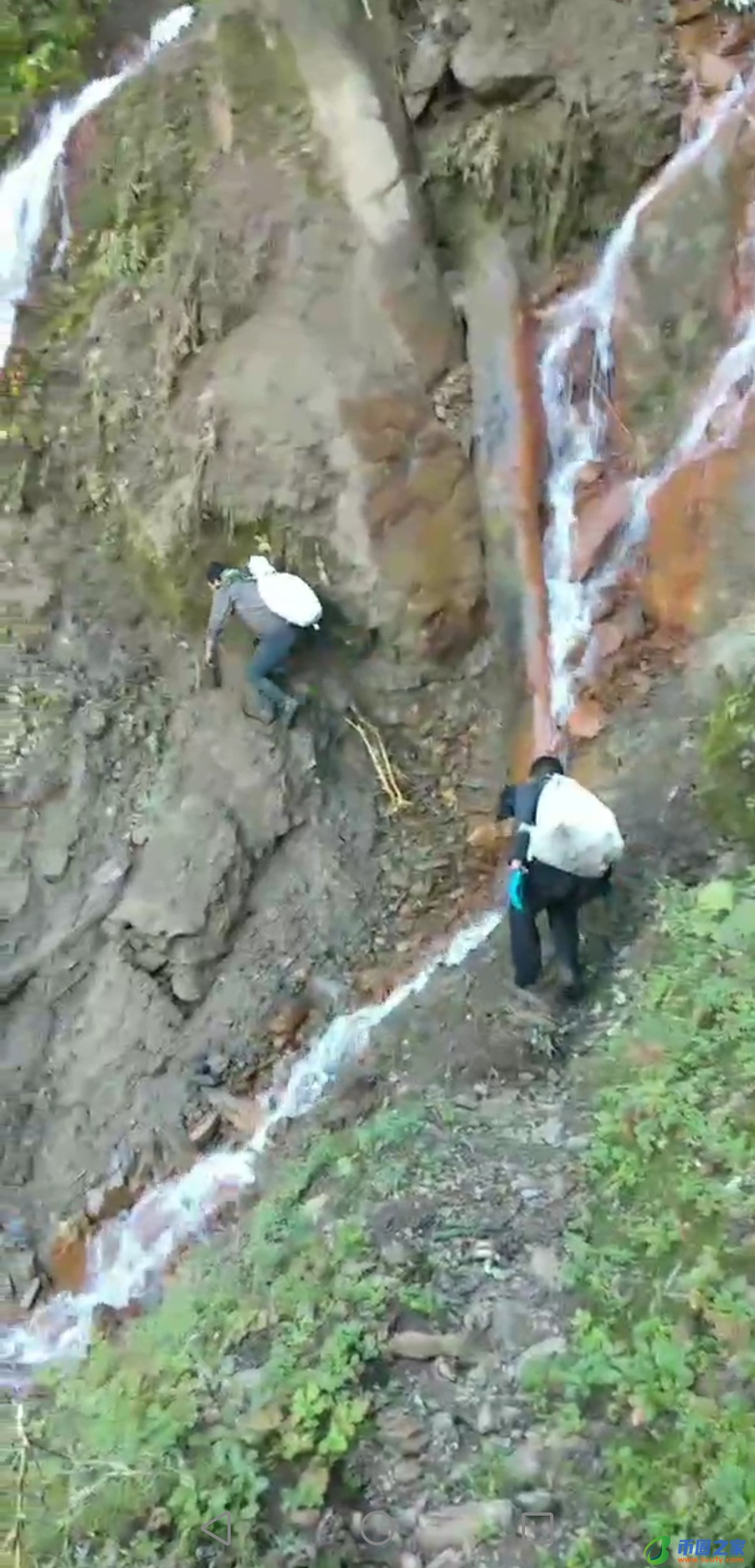 梦见在水里捞东西（孕妇梦见在水里捞东西）