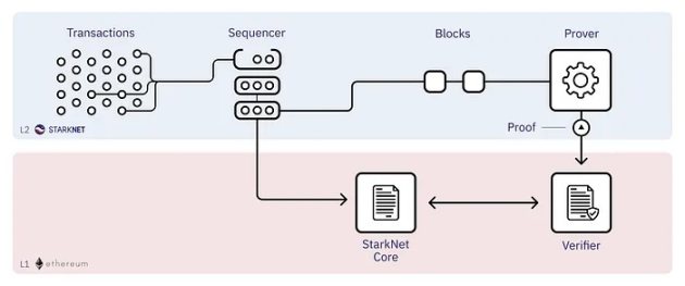 万字全解Rollup排序器的去中心化道路