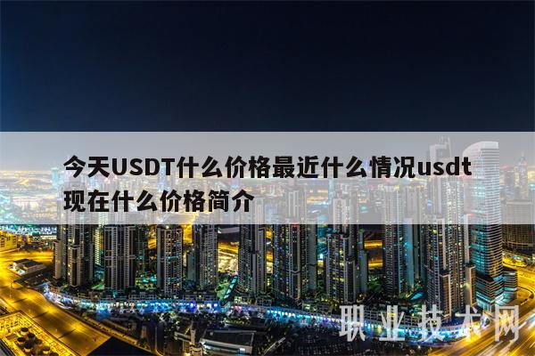今天USDT什么价格最近什么情况usdt现在什么价格简介插图 今天USDT什么价格最近什么情况usdt现在什么价格简介